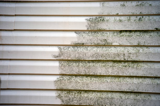 Best Siding Replacement  in Fairview, GA